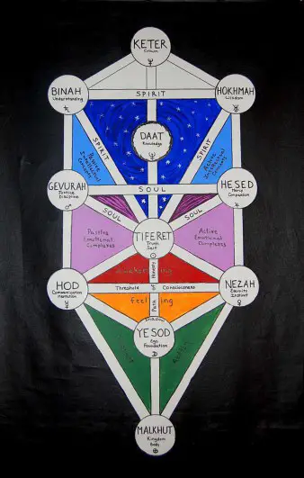 Tree of life symbols in Hebrew
