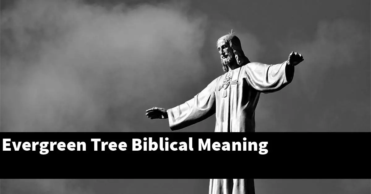 Evergreen Tree Biblical Meaning