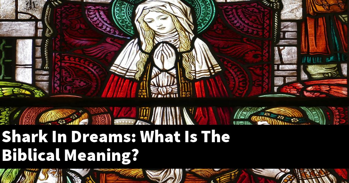 Shark In Dreams: What Is The Biblical Meaning?