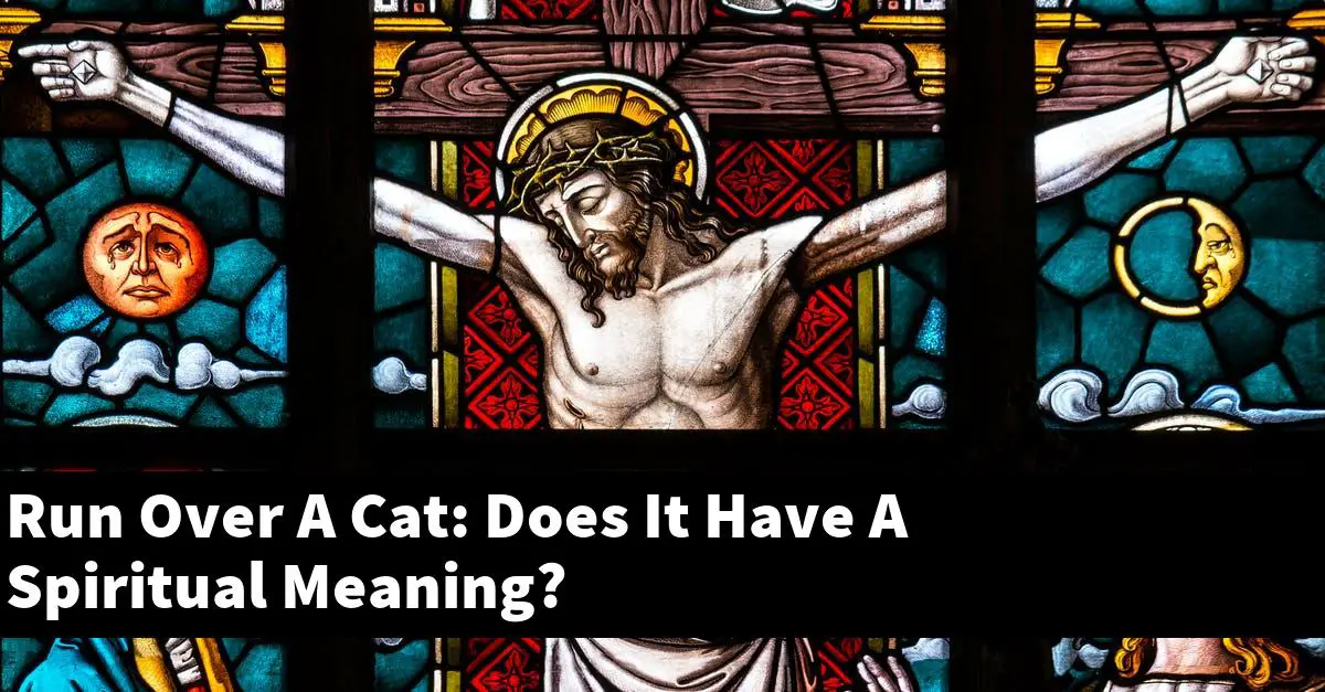Run Over A Cat: Does It Have A Spiritual Meaning?