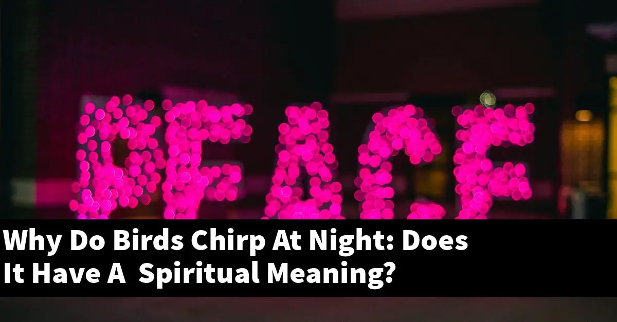 Why Do Birds Chirp At Night: Does It Have A Spiritual Meaning?