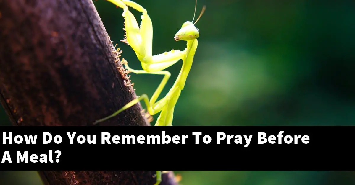 How Do You Remember To Pray Before A Meal?